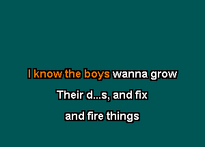 I know the boys wanna grow
Their d...s, and fix

and fire things