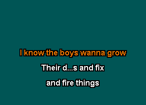 I know the boys wanna grow
Their d...s and fix

and fire things