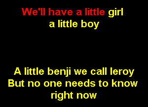 We'll have a little girl
a little boy

A little benji we call leroy
But no one needs to know
right now