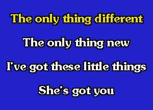 The only thing different
The only thing new
I've got these little things

She's got you