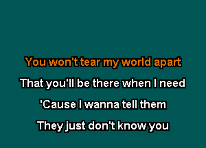 You won't tear my world apart
That you'll be there when I need

'Cause I wanna tell them

Theyjust don't know you