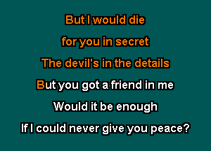 But I would die
for you in secret
The devil's in the details
But you got a friend in me

Would it be enough

lfl could never give you peace?