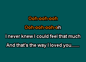 Ooh-ooh-ooh
Ooh-ooh-ooh-oh

lnever knew I could feel that much

And that's the wayl loved you .......