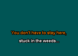 You don't have to stay here,

stuck in the weeds...