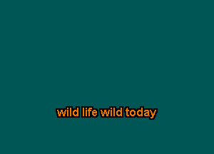 wild life wild today