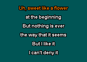 Uh, sweet like a t10wer

at the beginning

But nothing is ever
the way that it seems

Butl like it

I can't deny it