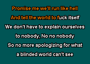 Promise me we'll run like hell
And tell the world to fuck itself
We don't have to explain ourselves
to nobody, No no nobody
So no more apologizing for what

a blinded world can't see
