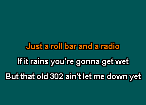 Just a roll bar and a radio

If it rains you're gonna get wet

But that old 302 ain't let me down yet