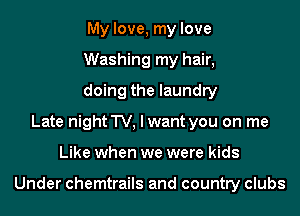 My love, my love
Washing my hair,
doing the laundry

Late night TV, lwant you on me

Like when we were kids

Under chemtrails and country clubs