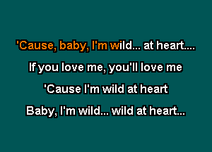 'Cause, baby, I'm wild... at heart...
Ifyou love me, you'll love me

'Cause I'm wild at heart

Baby, I'm wild... wild at heart...