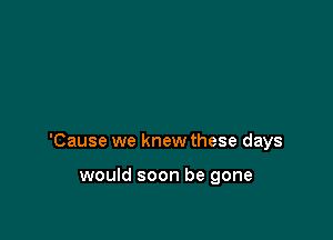 'Cause we knew these days

would soon be gone