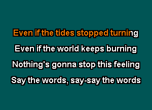 Even ifthe tides stopped turning
Even ifthe world keeps burning
Nothing's gonna stop this feeling

Say the words, say-say the words