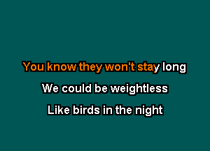 You know they won't stay long

We could be weightless

Like birds in the night