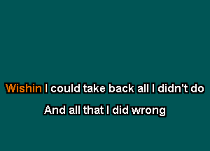 Wishin I could take back all I didn't do
And all that I did wrong