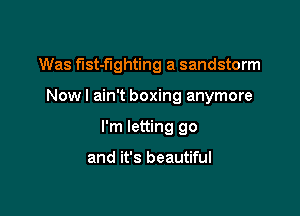 Was flst-flghting a sandstorm

Now I ain't boxing anymore

I'm letting go

and it's beautiful
