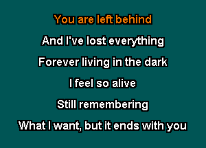 You are left behind
And I've lost evetything
Forever living in the dark
lfeel so alive

Still remembering

What I want, but it ends with you