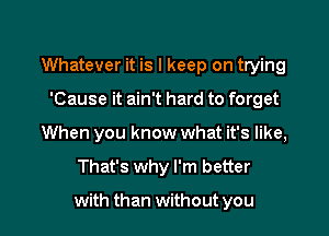 Whatever it is I keep on trying
'Cause it ain't hard to forget
When you know what it's like,

That's why I'm better

with than without you