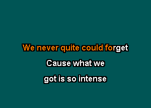 We never quite could forget

Cause what we

got is so intense