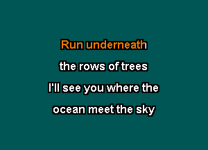 Run underneath
the rows of trees

I'll see you where the

ocean meet the sky