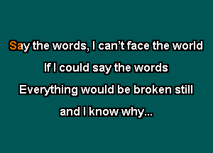 Say the words, I cam face the world
lfl could say the words

Everything would be broken still

and I know why...
