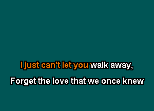 ljust can't let you walk away,

Forget the love that we once knew