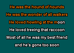He was the hound of hounds
He was the wonder of all walkers
He loved howling at the moon
He loved treeing that raccoon
Most of all he was my best friend

and he's gone too soon