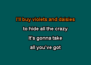 I'll buy violets and daisies

to hide all the crazy
It's gonna take

all you've got