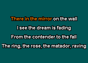 There in the mirror on the wall
I see the dream is fading
From the contender to the fall

The ring, the rose, the matador, raving