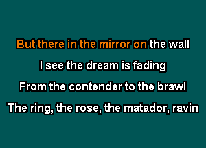 But there in the mirror on the wall
I see the dream is fading
From the contender to the brawl

The ring, the rose, the matador, ravin
