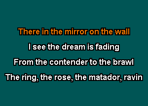 There in the mirror on the wall
I see the dream is fading
From the contender to the brawl

The ring, the rose, the matador, ravin