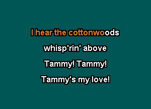 I hear the cottonwoods
whisp'rin' above

Tammy! Tammy!

Tammy's my love!