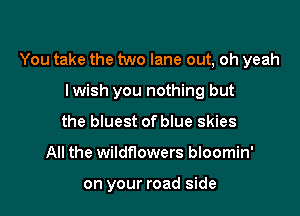 You take the two lane out, oh yeah

lwish you nothing but
the bluest of blue skies
All the wildflowers bloomin'

on your road side