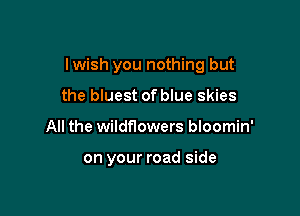 lwish you nothing but

the bluest of blue skies
All the wildflowers bloomin'

on your road side