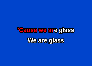'Cause we are glass

We are glass
