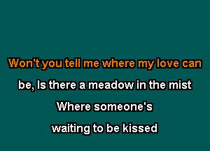 Won't you tell me where my love can

be, Is there a meadow in the mist
Where someone's

waiting to be kissed