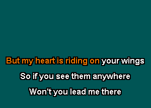 But my heart is riding on your wings

So ifyou see them anywhere

Won't you lead me there