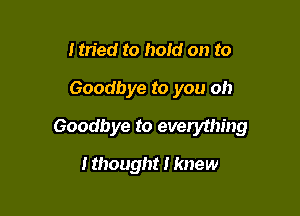 I tried to hold on to

Goodbye to you oh

Goodbye to everything

I thought I knew