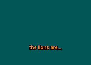 the lions are...
