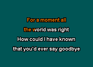 For a moment all
the world was right

How could I have known

that you'd ever say goodbye