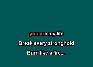 you are my life

Break every stronghold

Burn like a fire....