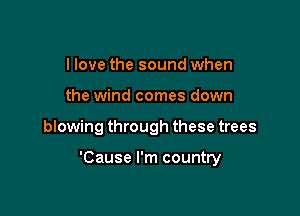 I love the sound when
the wind comes down

blowing through these trees

'Cause I'm country