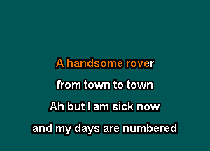 A handsome rover
from town to town

Ah but I am sick now

and my days are numbered