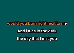 would you burn right next to me

And I was in the dark

the daythatl met you