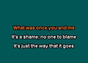 What was once you and me

It's a shame, no one to blame

It's just the way that it goes