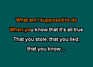 What am I supposed to do

When you know that it's all true

That you stole, that you lied,

that you know....