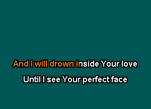 And I will drown inside Your love

Until I see Your perfect face