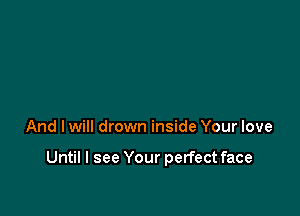 And I will drown inside Your love

Until I see Your perfect face