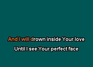 And I will drown inside Your love

Until I see Your perfect face