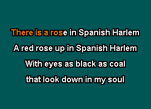 There is a rose in Spanish Harlem

A red rose up in Spanish Harlem

With eyes as black as coal

that look down in my soul
