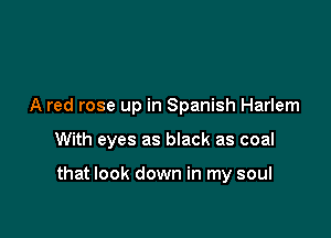 A red rose up in Spanish Harlem

With eyes as black as coal

that look down in my soul